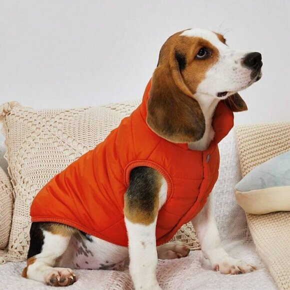 Orange XL Fleece Lined Snap front dog jacket, NWT - Picture 1 of 6
